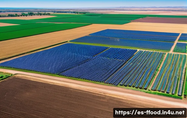 기후 변화에 대응하는 농업 혁신 - A detailed aerial view of a semi-arid Mexican farm featuring advanced digital agriculture technology...