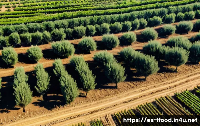 식량 생산에서의 탄소 배출 감축 - A modern agricultural farm in Spain showcasing advanced technology: vibrant fields of olive trees wi...
