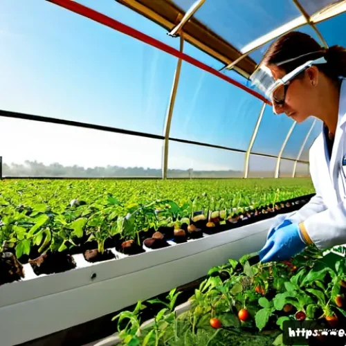 Home 17 미래식량 생산을 위한 연구 개발 - Photorealistic agricultural research laboratory in Valencia, Spain, scientists in clean white lab co...